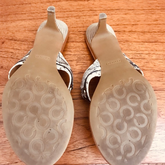 Coach: Python Alberta Print Sandals Size 10 - Picture 2 of 3